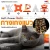 กางเกงแมว Soft Power จากโคราช พาแฟชั่นไทยโกอินเตอร์