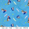 Sleeping Unicorn Pattern