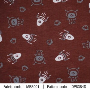 ลาย ยานอวกาศ