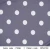 Big Dot Pattern