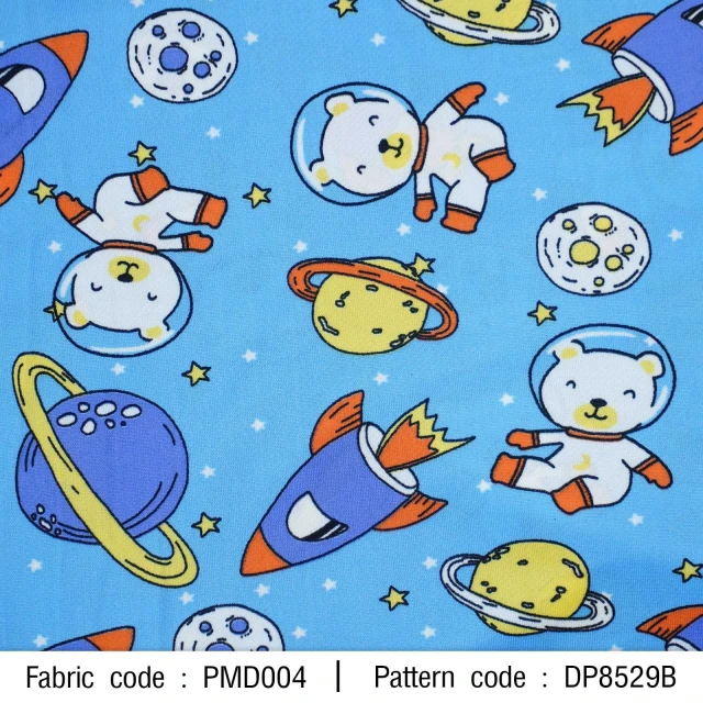 ลาย หมีอวกาศ