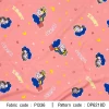 Sleeping Unicorn